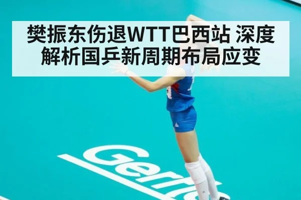 樊振东伤退WTT巴西站 深度解析国乒新周期布局应变
